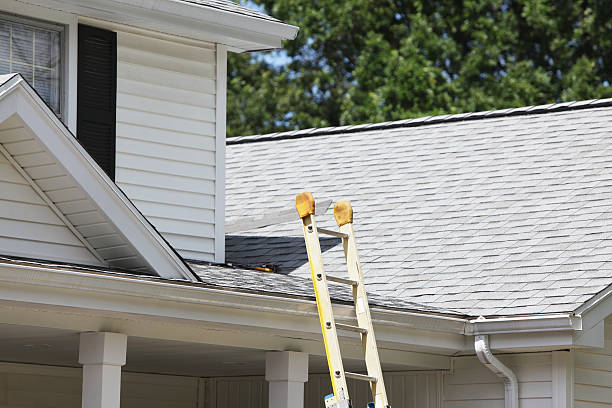 Affordable siding repair and maintenance services in Seaside Park, NJ